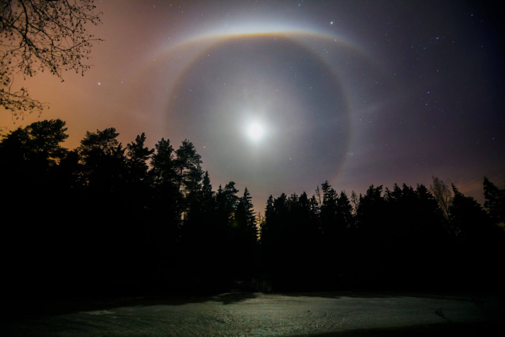 Ganador de Astronomía 2019: 'Halo' de Mikhail Kapychka - The Royal Society